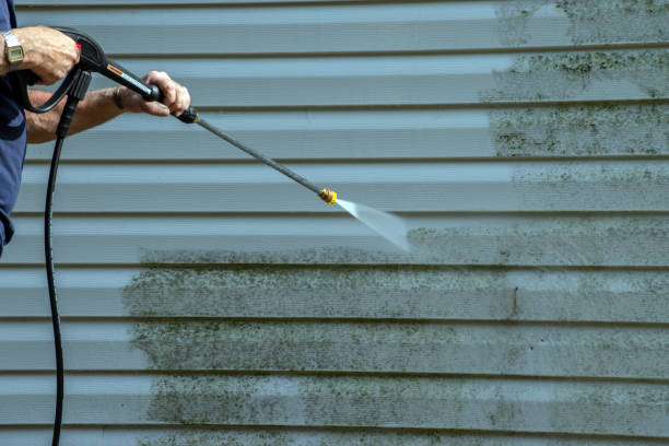 Best Driveway Pressure Washing  in Yellow Springs, OH